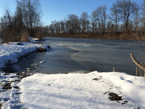 Rhein bei Diepoldsau in der Schweiz