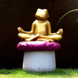 Cocolina_Chakra_Uwe Wagschal_pixelio.de